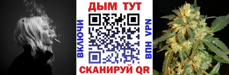 Конопля план  купить закладку  Ветлуга 
